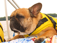 lifejacket4.jpg