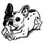 fbrn-frenchie.jpg