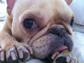 george