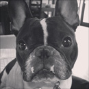 george